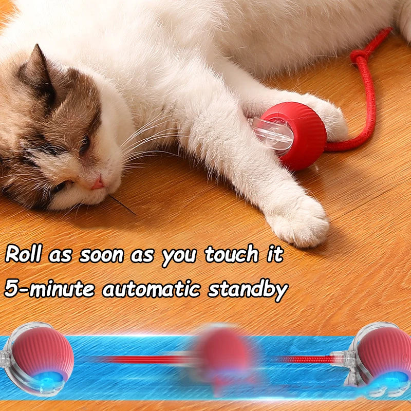 Automatic Cat Interactive Ball Toy | Smart Rechargeable Rolling Ball with Faux Tail for Indoor Cats