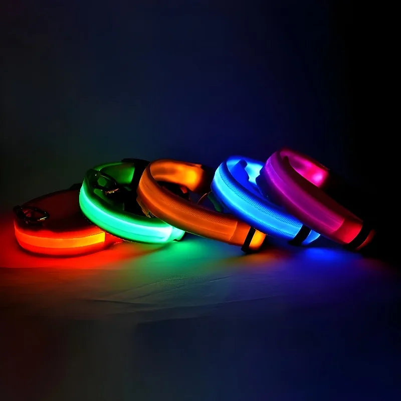 LED Dog Collar Nylon, Glow in the Dark Safety Flashing Collar for Pets, Night Visibility Leash