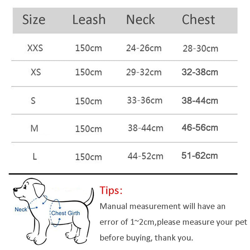 Adjustable Dog Harness Leash Set for Small Dogs, Puppy & Cat Vest for Walking, Reflective Lead