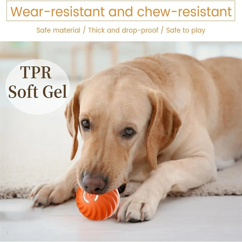 Smart Dog Toy Ball – USB Rechargeable Interactive Bouncing Ball for Dogs & Cats, Durable & Safe