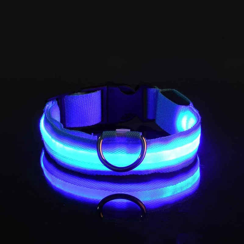 LED Dog Collar Nylon, Glow in the Dark Safety Flashing Collar for Pets, Night Visibility Leash