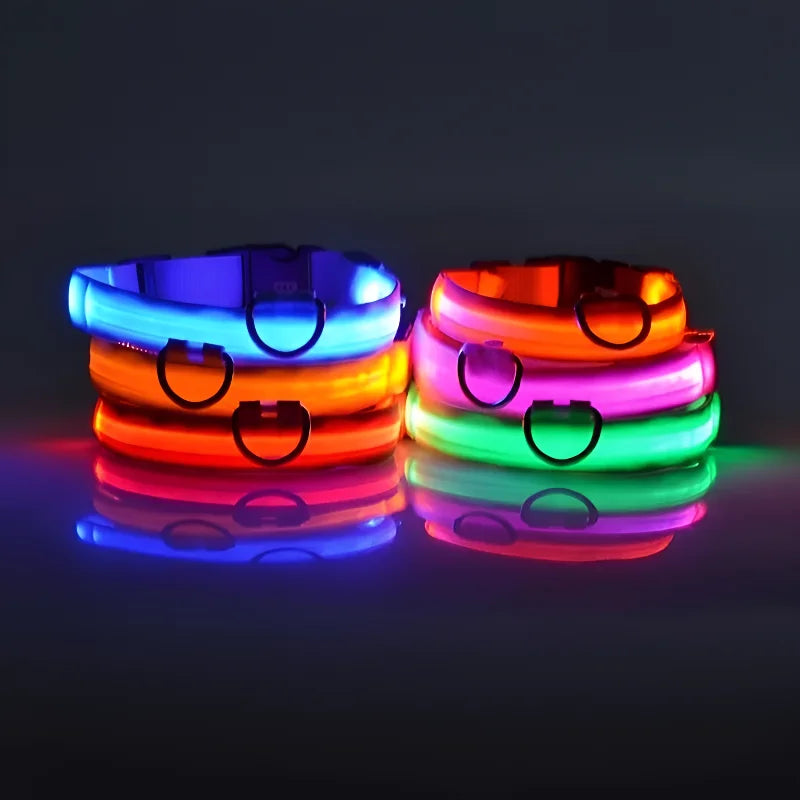 LED Dog Collar Nylon, Glow in the Dark Safety Flashing Collar for Pets, Night Visibility Leash