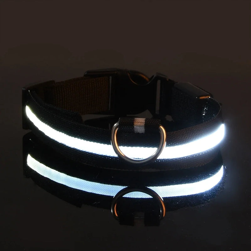 LED Dog Collar Nylon, Glow in the Dark Safety Flashing Collar for Pets, Night Visibility Leash