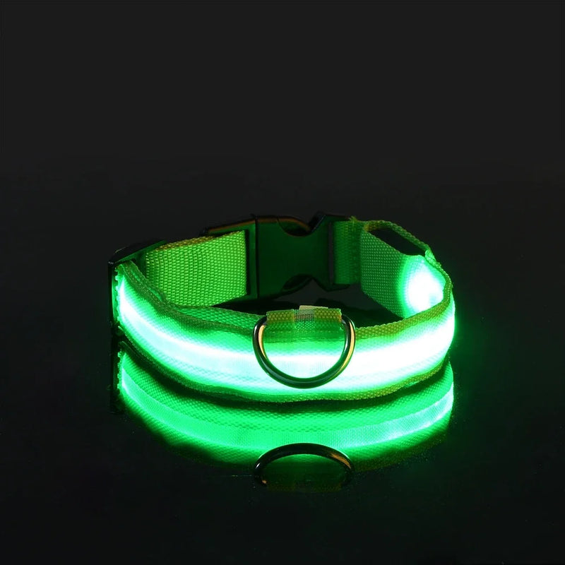 LED Dog Collar Nylon, Glow in the Dark Safety Flashing Collar for Pets, Night Visibility Leash