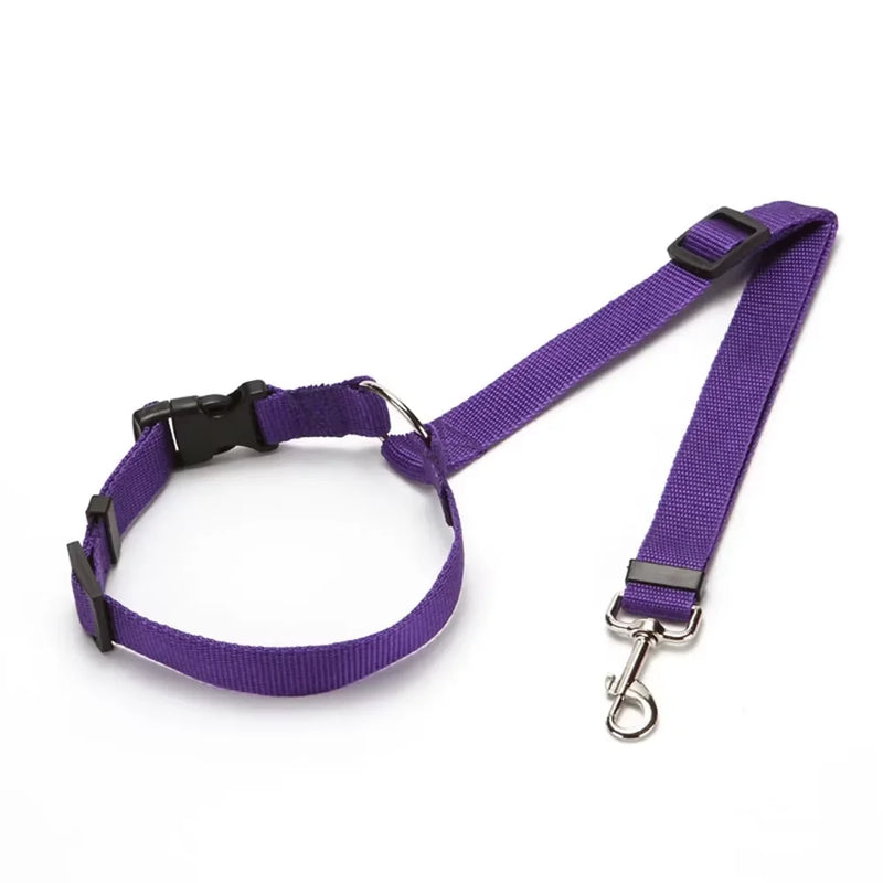 Adjustable Pet Car Seat Belt & Leash, Nylon Safety Harness for Dogs & Cats, Travel Seatbelt