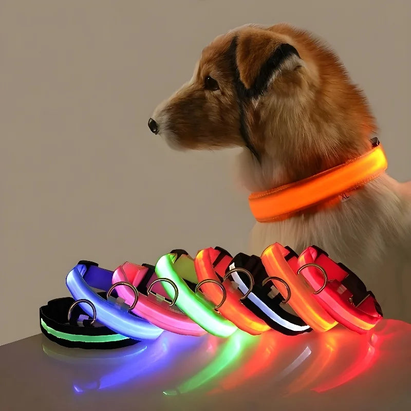 LED Dog Collar Nylon, Glow in the Dark Safety Flashing Collar for Pets, Night Visibility Leash