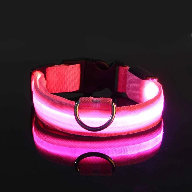 LED Dog Collar Nylon, Glow in the Dark Safety Flashing Collar for Pets, Night Visibility Leash