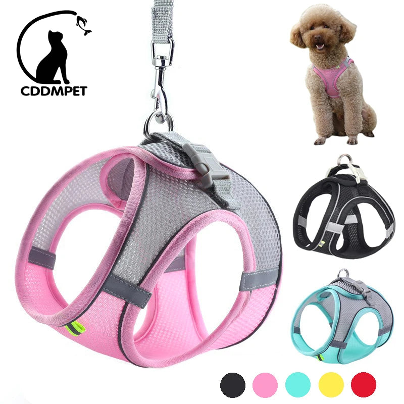 Adjustable Dog Harness Leash Set for Small Dogs, Puppy & Cat Vest for Walking, Reflective Lead