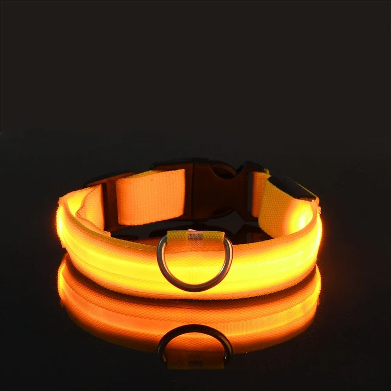 LED Dog Collar Nylon, Glow in the Dark Safety Flashing Collar for Pets, Night Visibility Leash